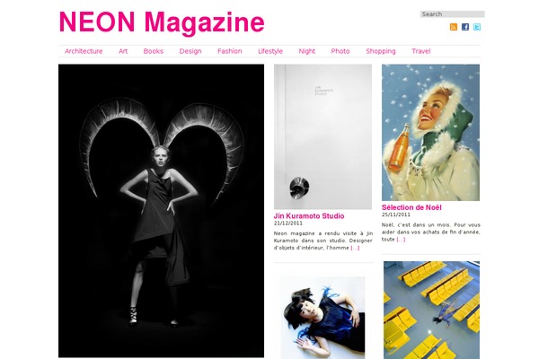 neonmag.com site used Richwp20110412