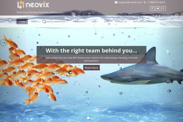 Enigma Parallax theme site design template sample