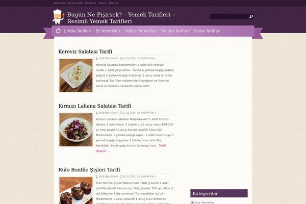 Zylyz theme site design template sample