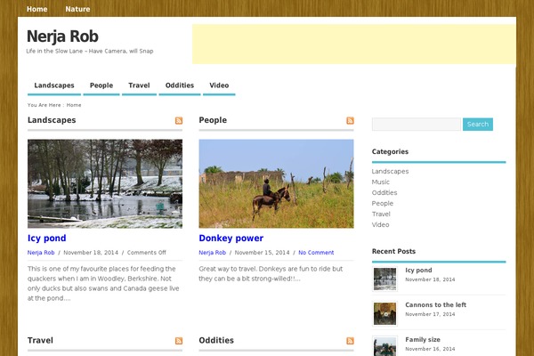MesoColumn theme site design template sample