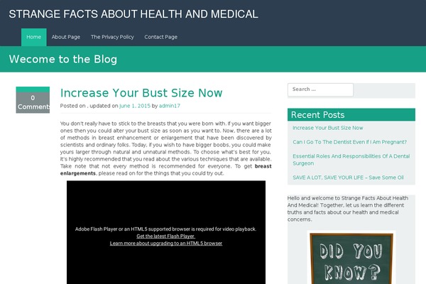 WP RootStrap theme site design template sample