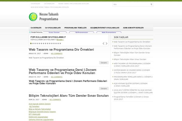nesnetabanliprogramlama.com site used Riviera