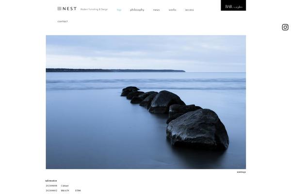 Site using WP Social Widget plugin