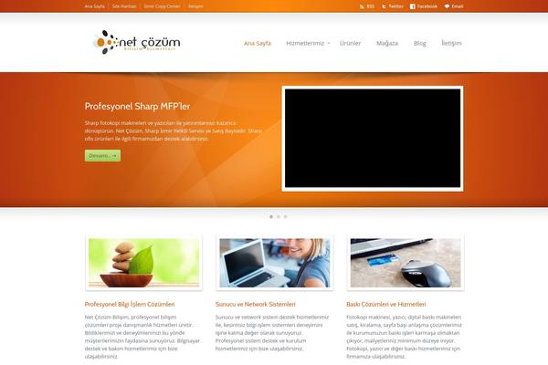 Site using All in One SEO Pack plugin