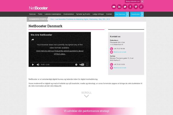 Netbooster_groupe theme site design template sample