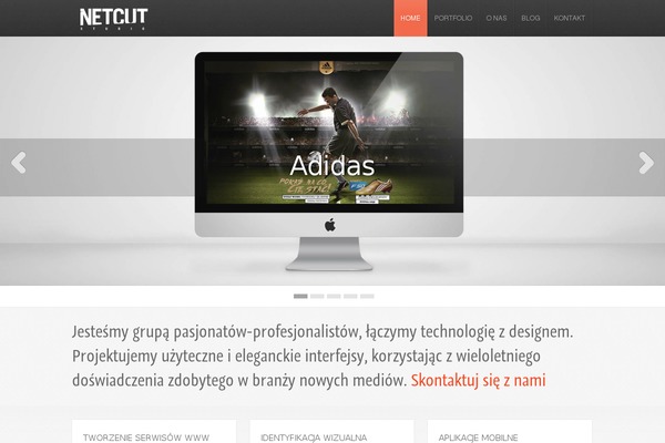 Site using Dm-albums plugin