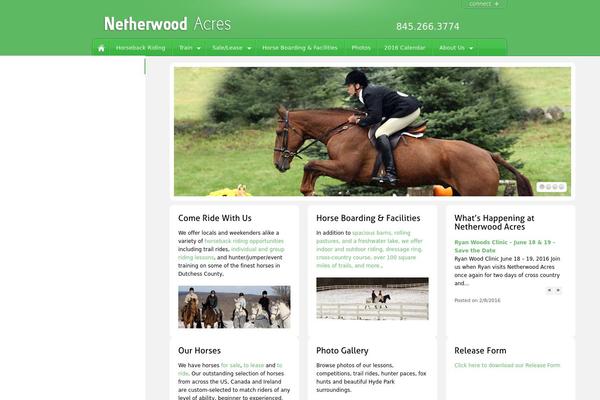 Barely-corporate-v2 theme site design template sample