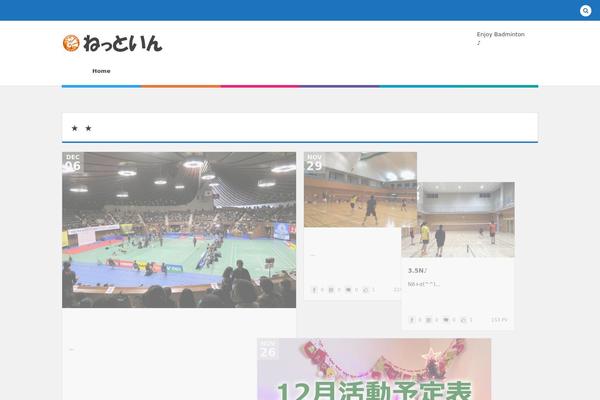netin-net.com site used Dp-colors