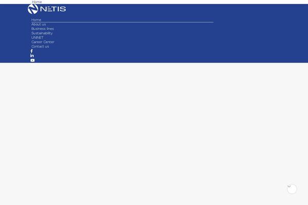 netisgroup.net site used Netis