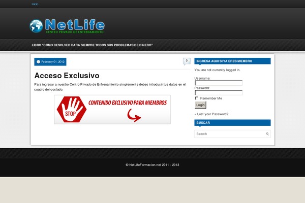 StraightAhead theme websites examples