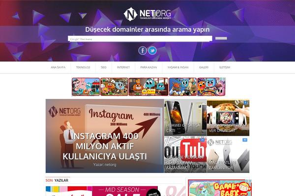 netorg.net site used EccePure