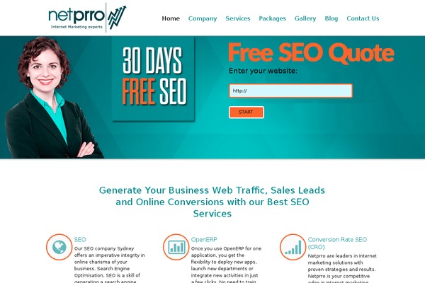 Invicta theme site design template sample
