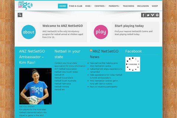 netsetgo.asn.au site used Icemag Theme