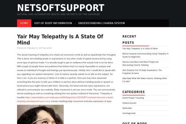 Hiero theme site design template sample