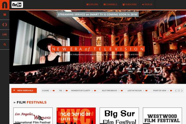 Nillplay theme site design template sample