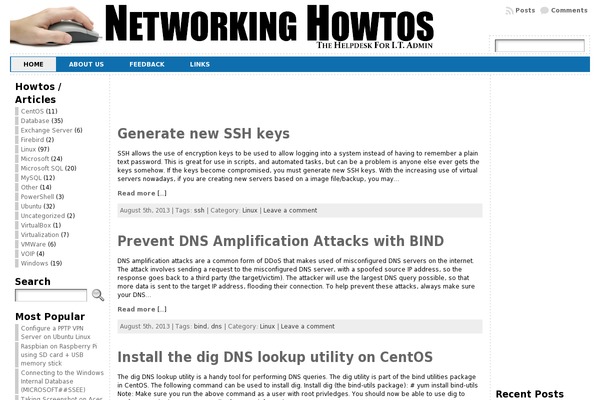 networkinghowtos.com site used Pixeldom-lite