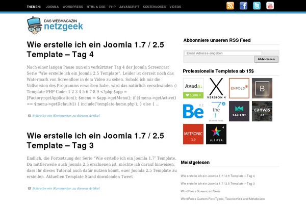 Ng theme site design template sample