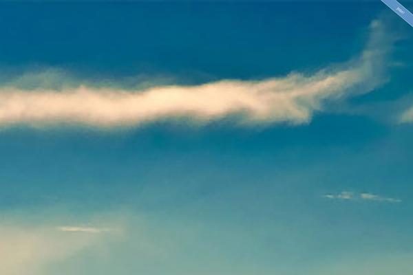 Parallax theme site design template sample