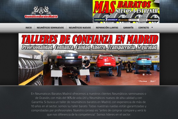 neumaticosbaratosmadrid.com site used Radial