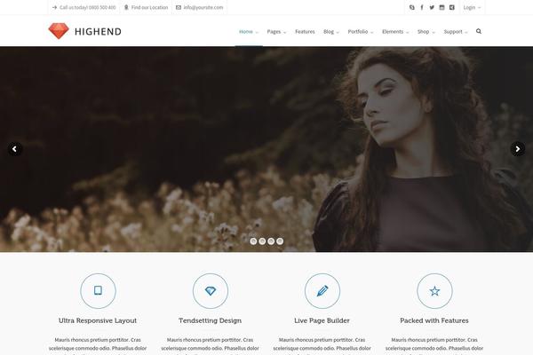 Highend theme site design template sample