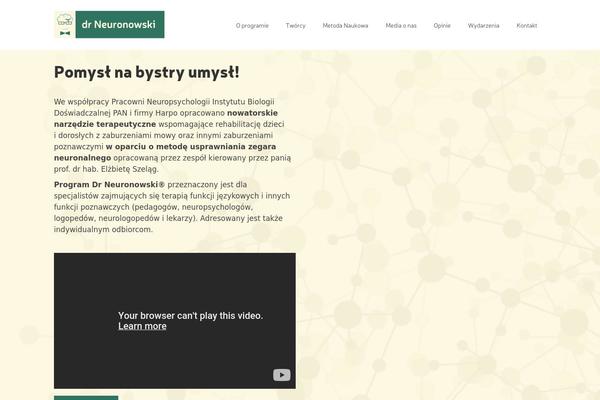 Virtue Premium theme site design template sample