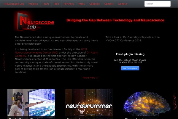 Strappress theme site design template sample