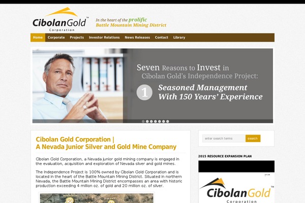 WP-Bold  1.0.8 theme site design template sample