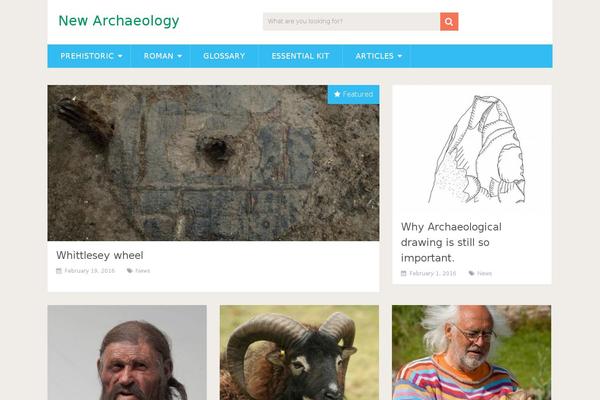 SociallyViral theme site design template sample