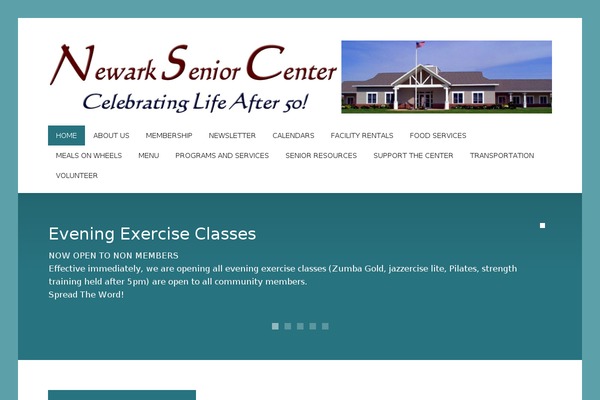 Candidate theme site design template sample