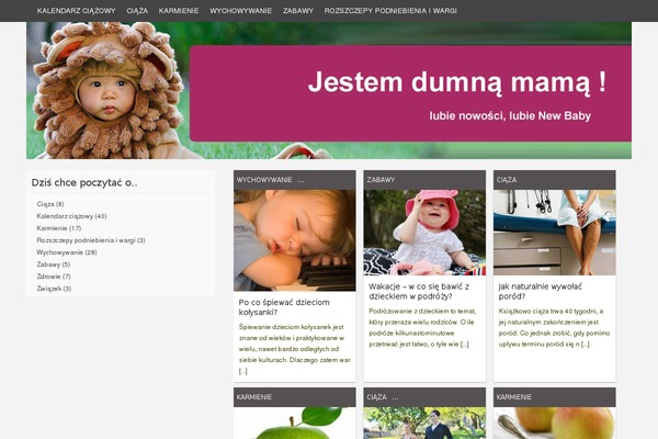 newbaby.com.pl site used Codium Grid