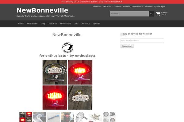 Store theme site design template sample