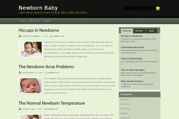 Zerafin theme site design template sample