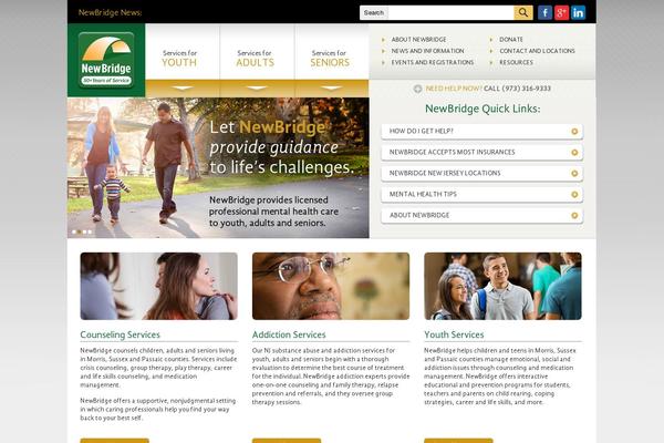 newbridge WordPress theme, websites list used newbridge theme newbridge theme websites examples