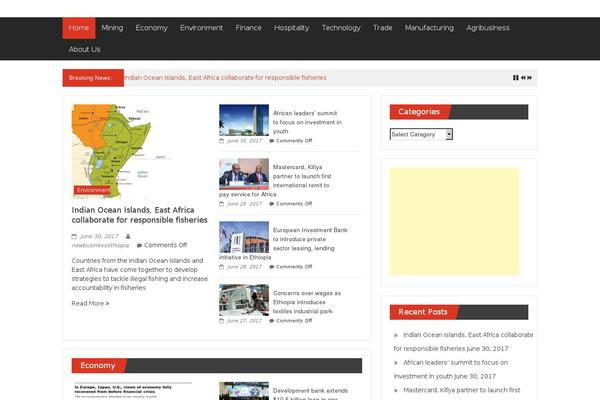 Digital Newspaper theme site design template sample
