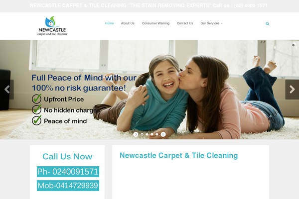 Company theme site design template sample
