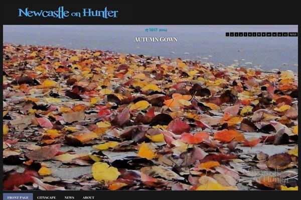 newcastleonhunter.com site used Darkhorizon