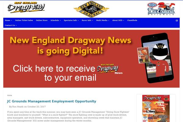 ned theme websites examples