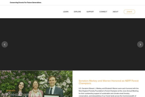 Tower theme site design template sample