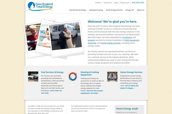 Custom Theme theme site design template sample