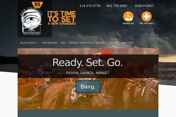 newenglandstandard.com site used Sansa