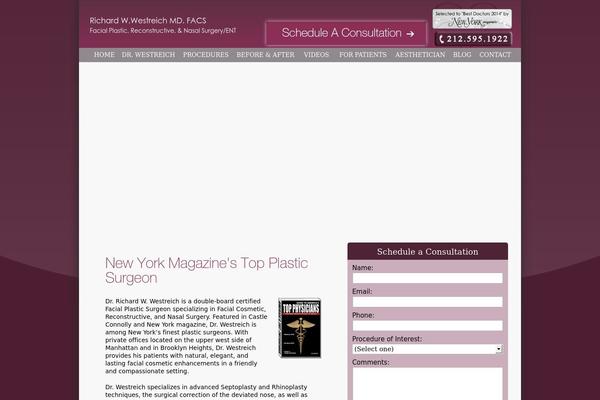 westreich theme websites examples