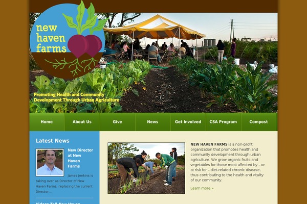 Vilva theme site design template sample