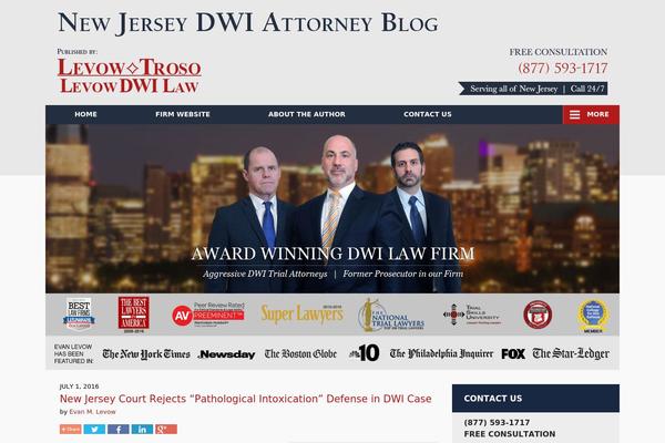 Willow theme site design template sample