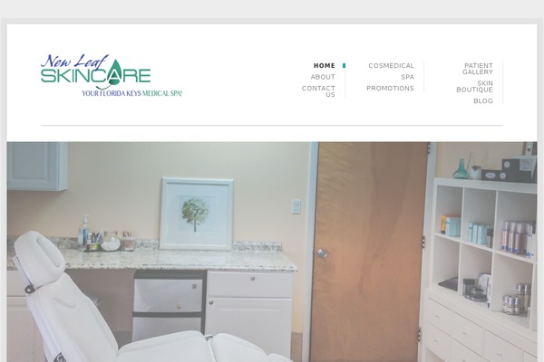Site using constant contact plugin