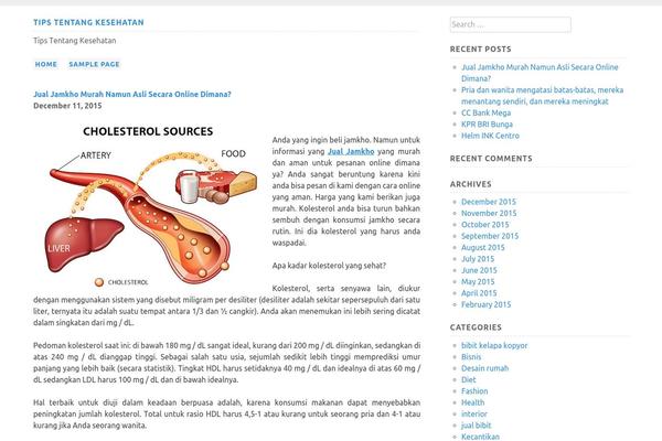 newlibyaforum.com site used Plainly
