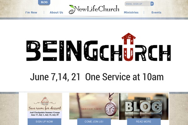 Newlife theme site design template sample
