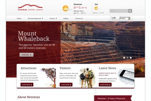 Newman theme site design template sample