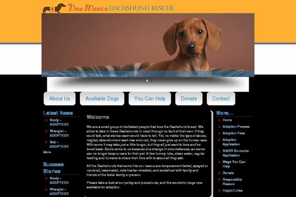 pandora theme site design template sample