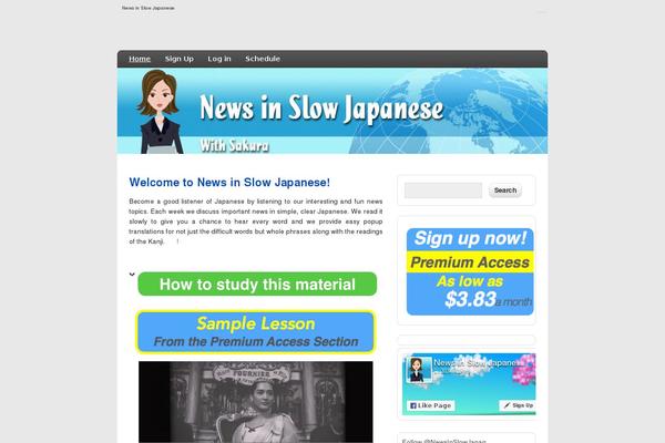 zeeDisplay theme site design template sample