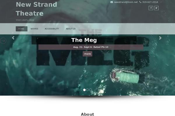 Enigma Parallax theme site design template sample